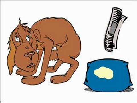 480x360 Dog Obedience And Discipline