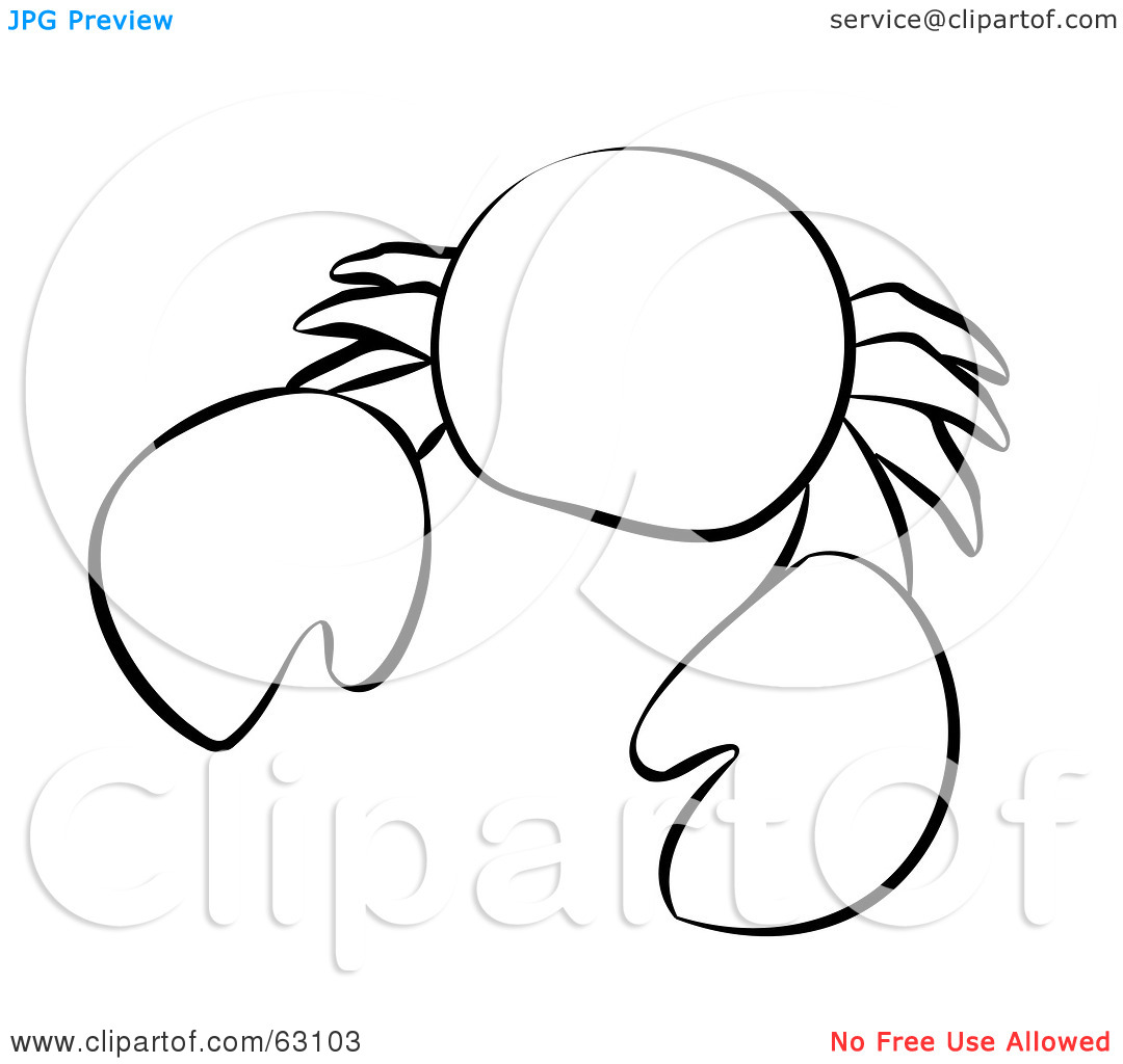 1080x1024 Ocean Animals Clip Art Black And White Clipart Panda