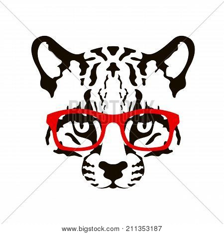 450x470 Ocelot Images, Illustrations, Vectors