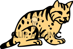 300x202 Ocelot Clipart