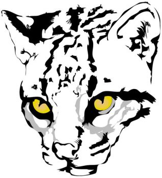 318x350 Ocelot Clipart Drawing