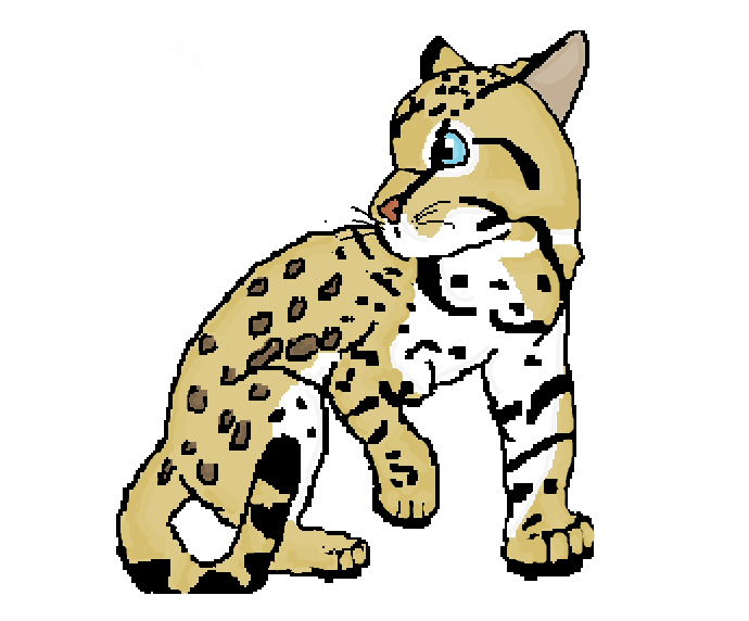 690x572 Ocelot Clip Art