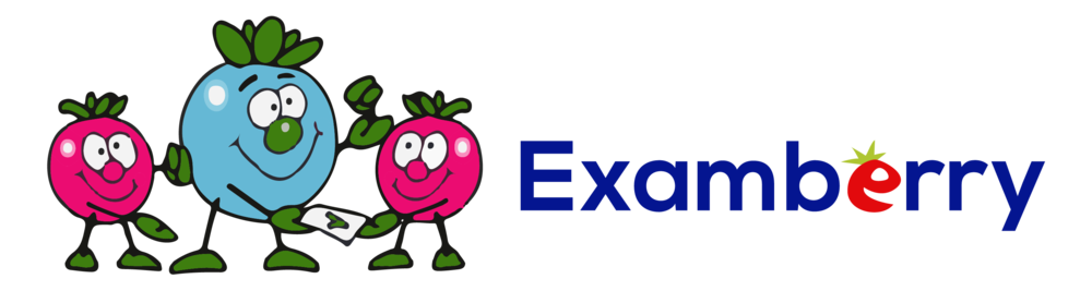 1000x267 Examberry.pngformat=2500w