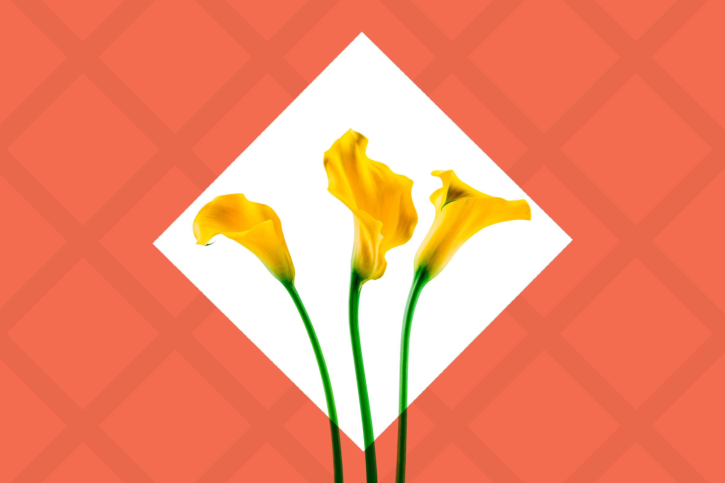 2400x1600 October Sales Best And Worst Products To Buy In October