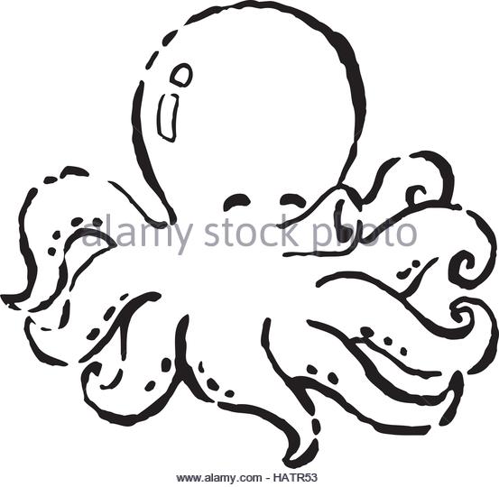553x540 Octopus Ink Black And White Stock Photos Amp Images