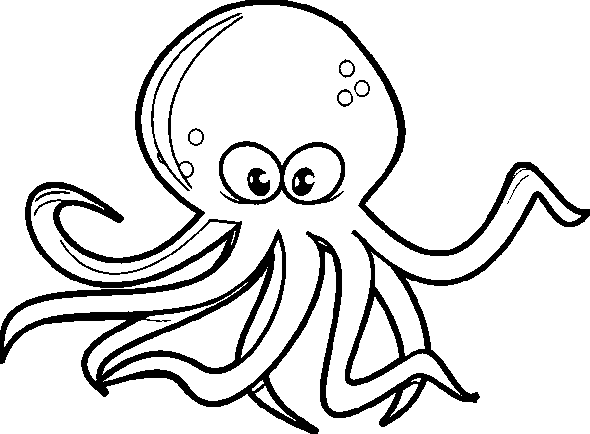 1203x885 Octopus Clipart Colored