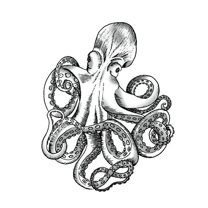 700x700 Pastel Polly Temporary Tattoos Octopus