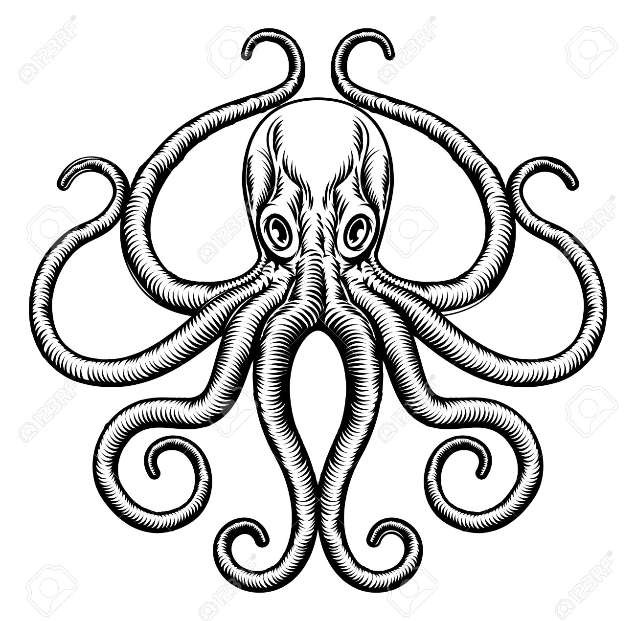 1300x1270 An Original Octopus Or Squid Tattoo Illustration Concept Design