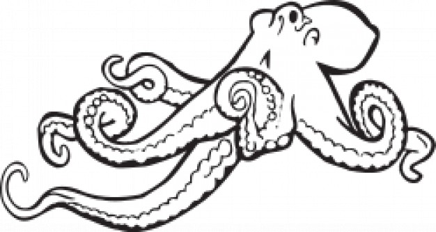 626x333 Octopus Clip Art In White And Black Download Free Animal Vectors
