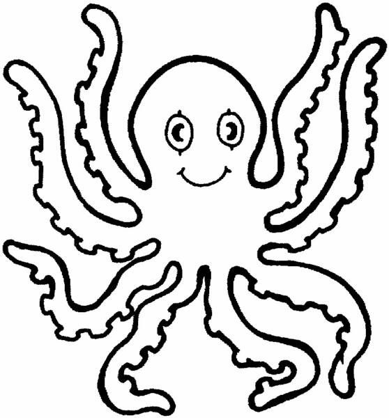 Octopus Outline