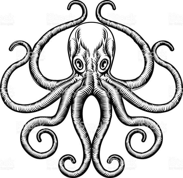 Octopus Outline | Free download on ClipArtMag