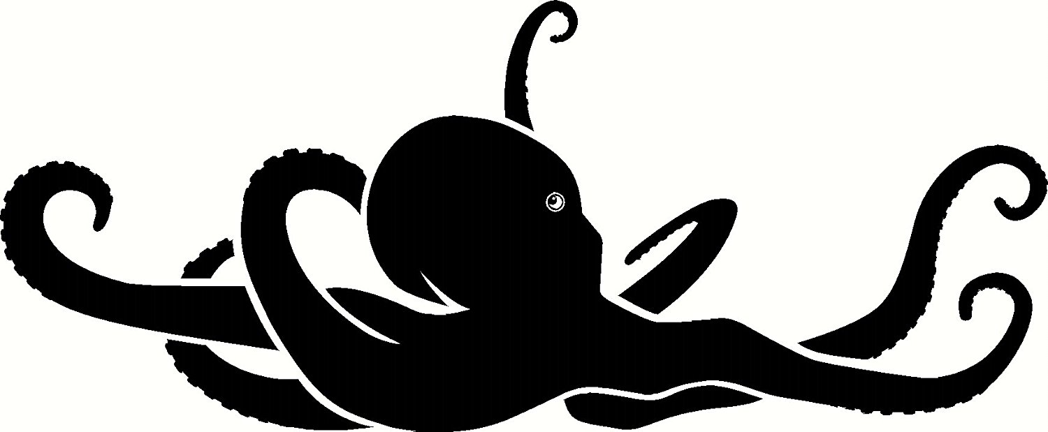 1500x619 Octopus