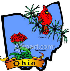 297x300 State Flower And Bird Of Ohio