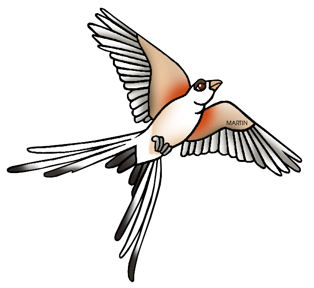 648x594 United States Clip Art By Phillip Martin, State Bird Of Oklahoma