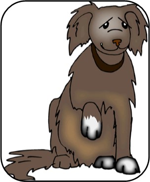 304x369 What I Wish My Old Dogs Would Learn From Me Old Dog Haven