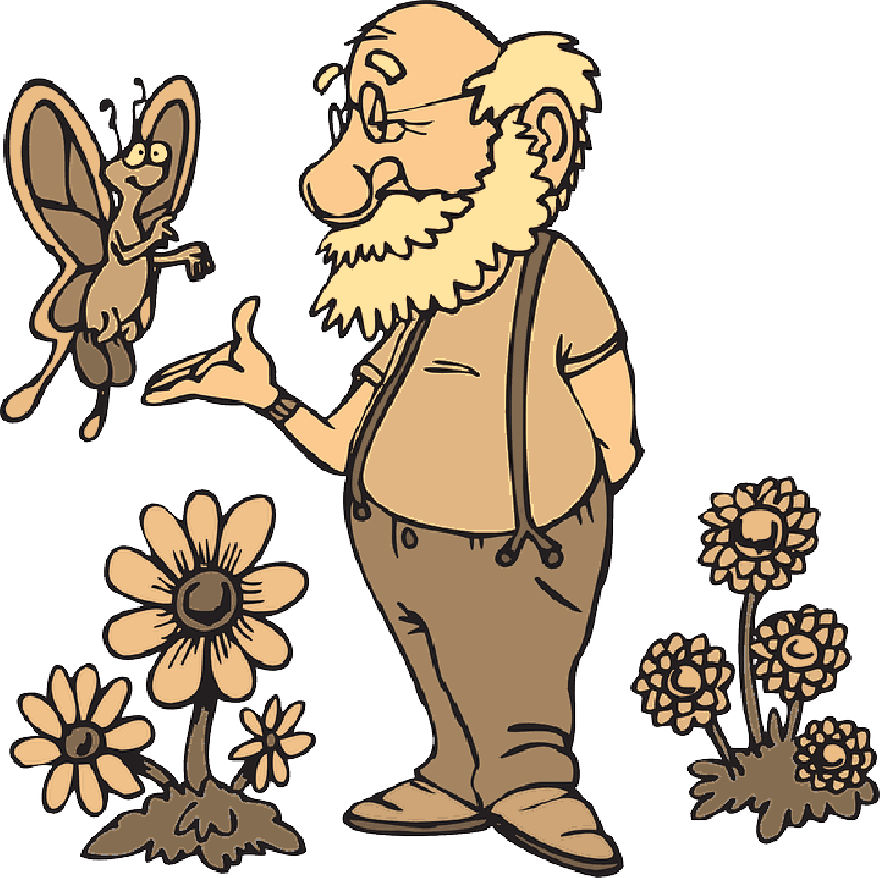 800x798 Old, Man, Flowers, Cartoon, Butterfly, Beard, Flower