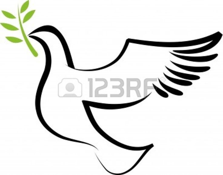 736x578 Best Dove With Olive Branch Ideas Dove