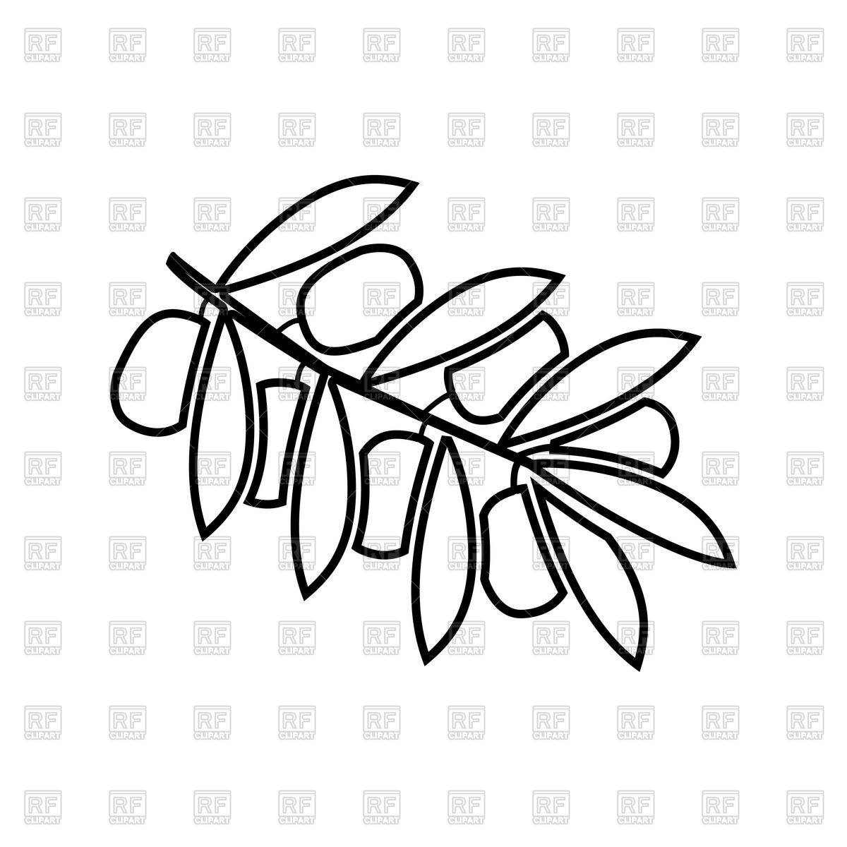 1200x1200 Olive Branch Outline Royalty Free Vector Clip Art Image