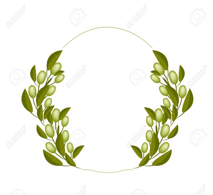 736x674 312 Best Olive Stuff Images Beautiful, Book And Cards