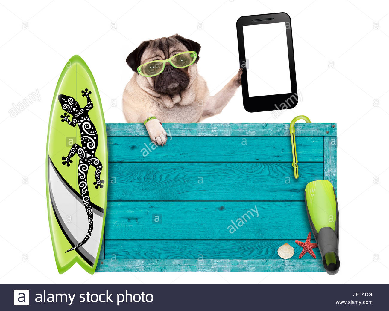 1300x1041 Pug Dog On Vacation With Blue Vintage Wooden Beach Sign, Surfboard
