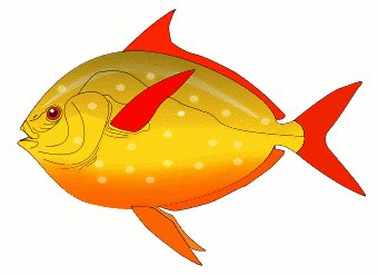 340x247 Red Fish Clipart