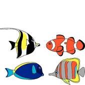 170x170 Tropical Fish Clipart Red And Blue