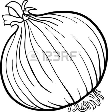 433x450 Drawn Onion Clipart