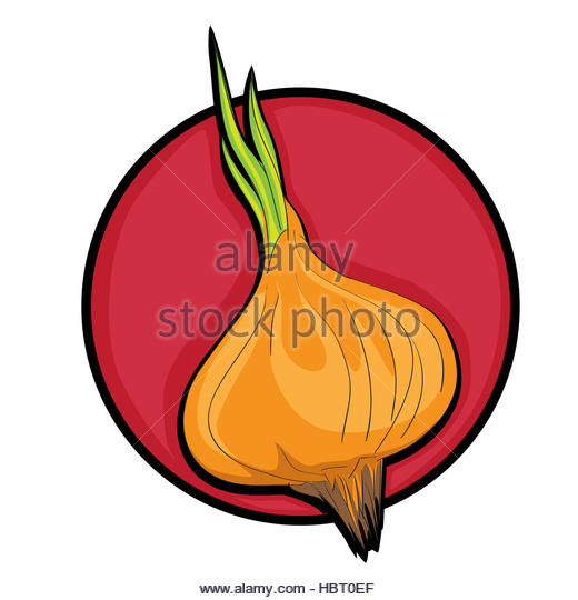 520x540 Food Illustration Retro Clip Art Stock Photos Amp Food Illustration