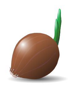 249x291 Free To Use Amp Public Domain Onion Clip Art