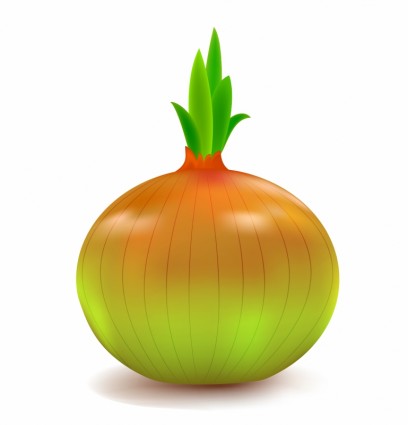 408x425 Nice Onion Clip Art