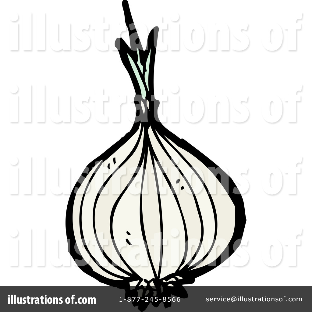 1024x1024 Onion Clipart