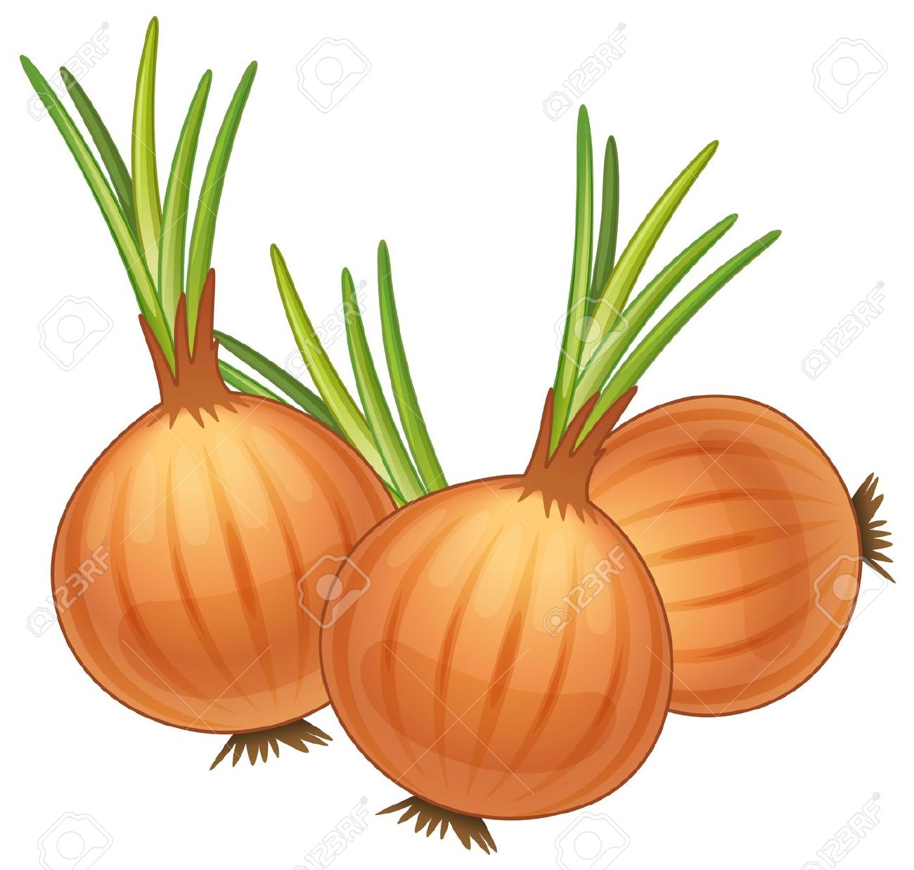 1300x1237 Onion Clipart Animated