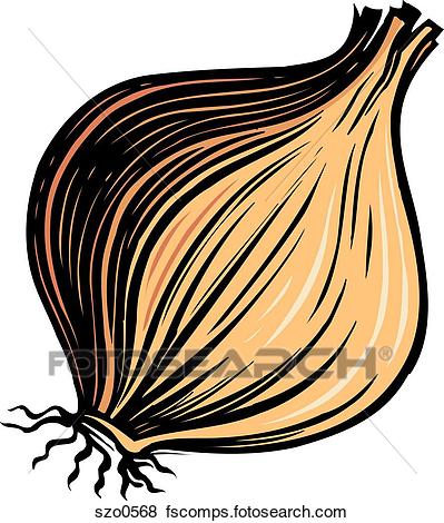 399x470 Stock Illustration Of A Bulb Of Yellow Onion On A White Background