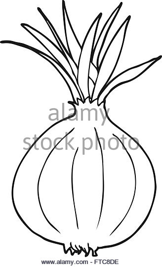 328x540 Cute Onion Black And White Stock Photos Amp Images