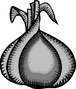 252x298 Glass Onion Clip Art