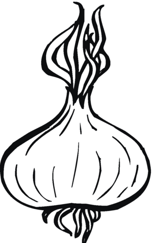 302x480 Onion 10 Coloring Page Free Printable Coloring Pages