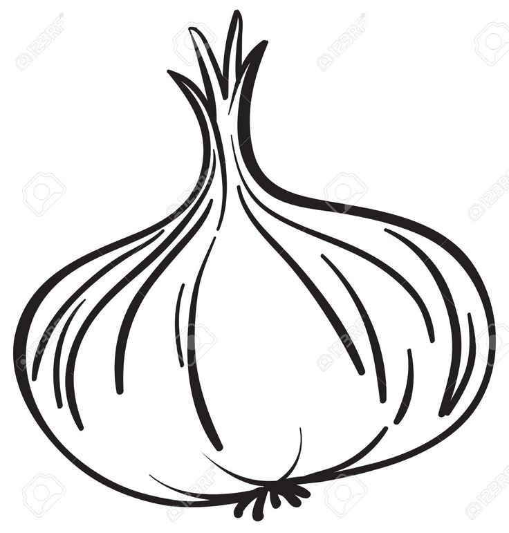 736x771 Onion Clipart Black And White