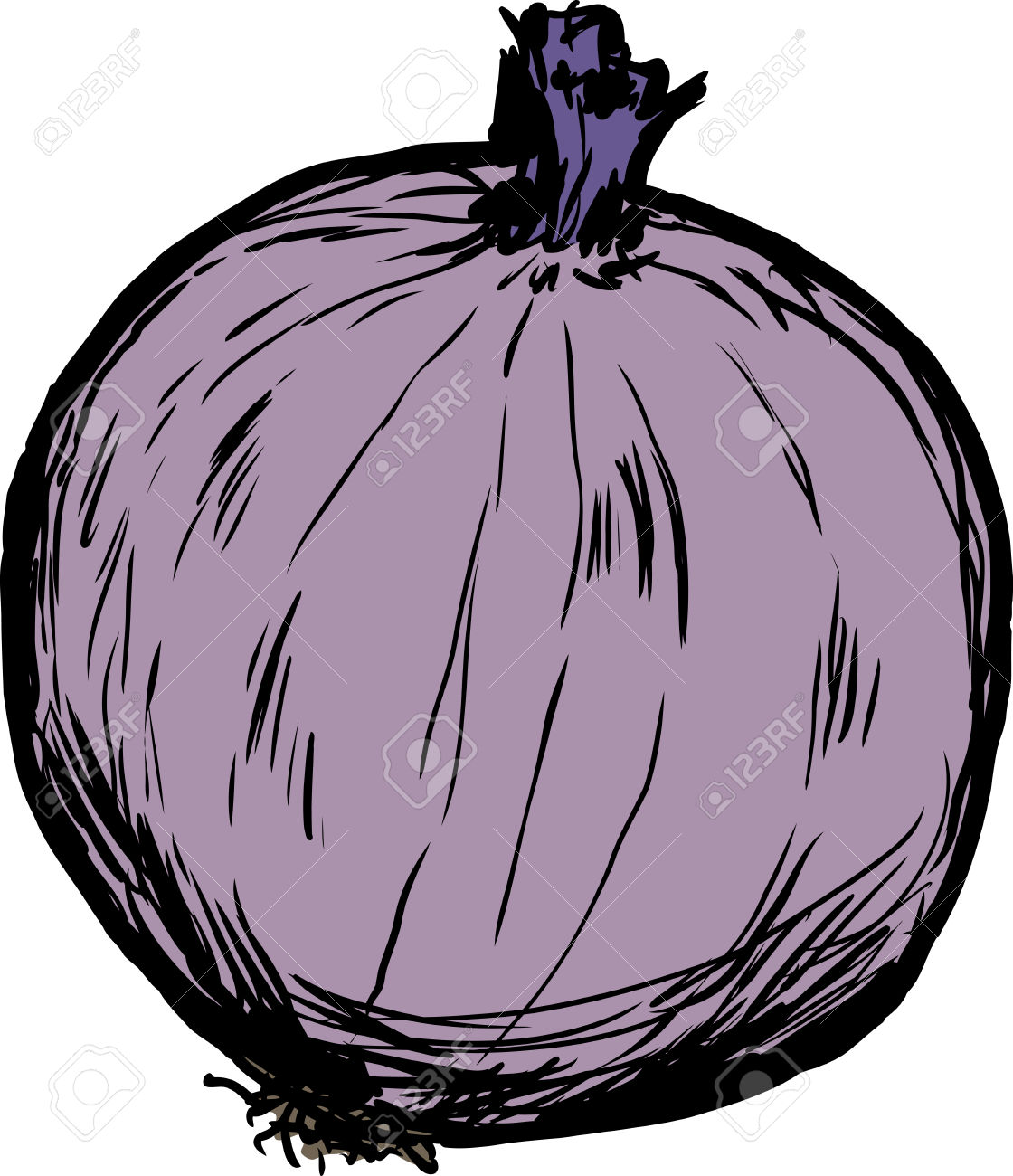 1120x1300 Onion Clipart Single