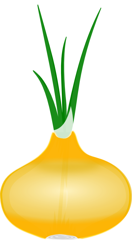555x1002 Free To Use Amp Public Domain Onion Clip Art