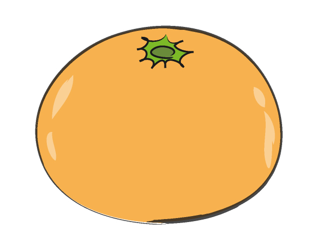 640x480 Mandarin Orange Oranges Food Illustration Free Clip Art Material