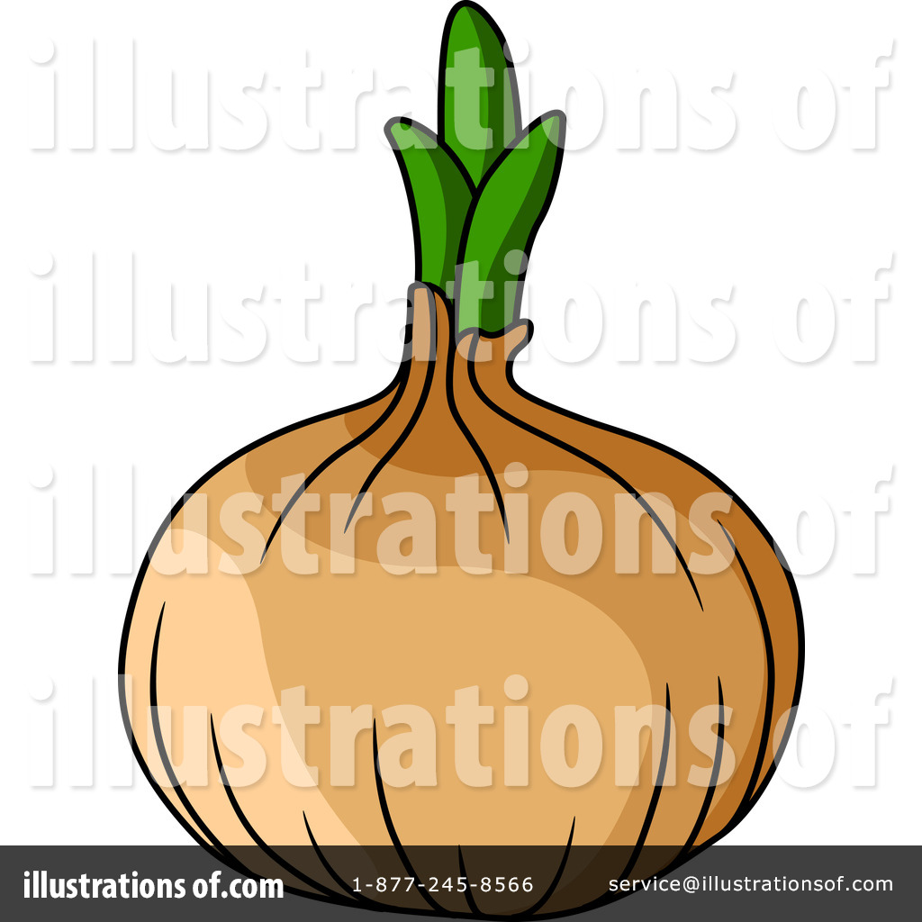 1024x1024 Onion Clipart