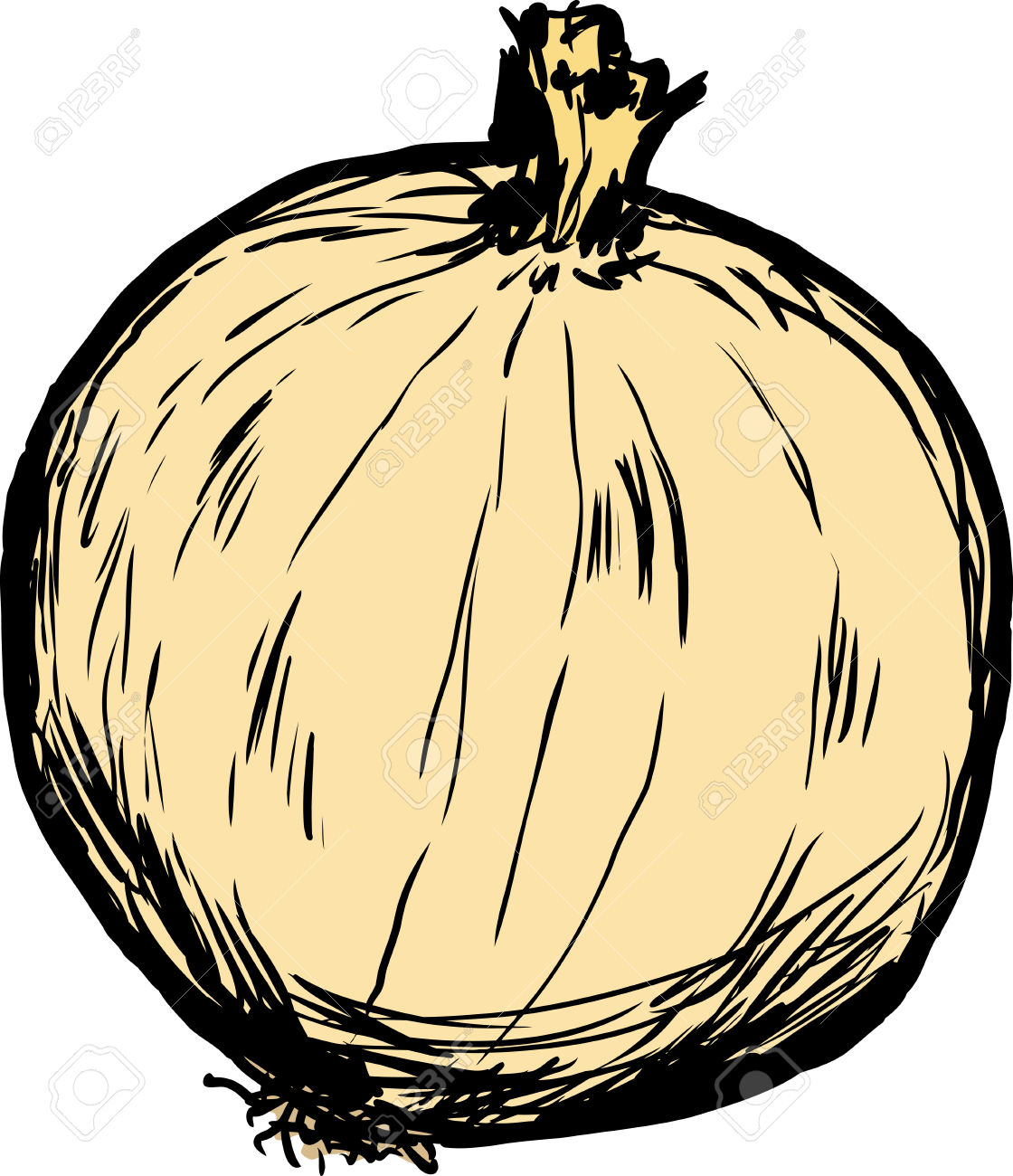 1120x1300 Onion Clipart Single