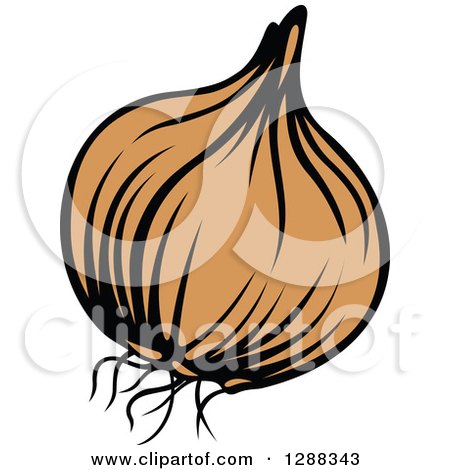 450x470 Onion Clipart Yellow