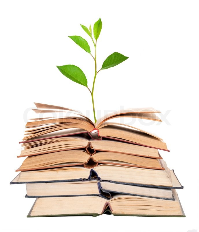 689x800 Green Sprout Growing From Open Books Stock Photo Colourbox