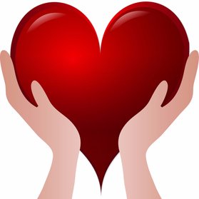 279x279 Open Hands (@openhandsnyc) Twitter