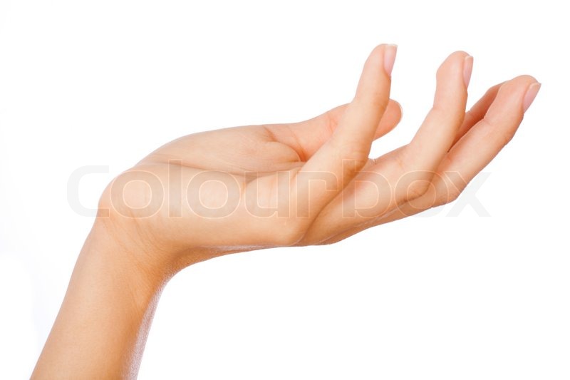 800x533 Gesture Of Womans Open Hand Isolated On White Background Stock