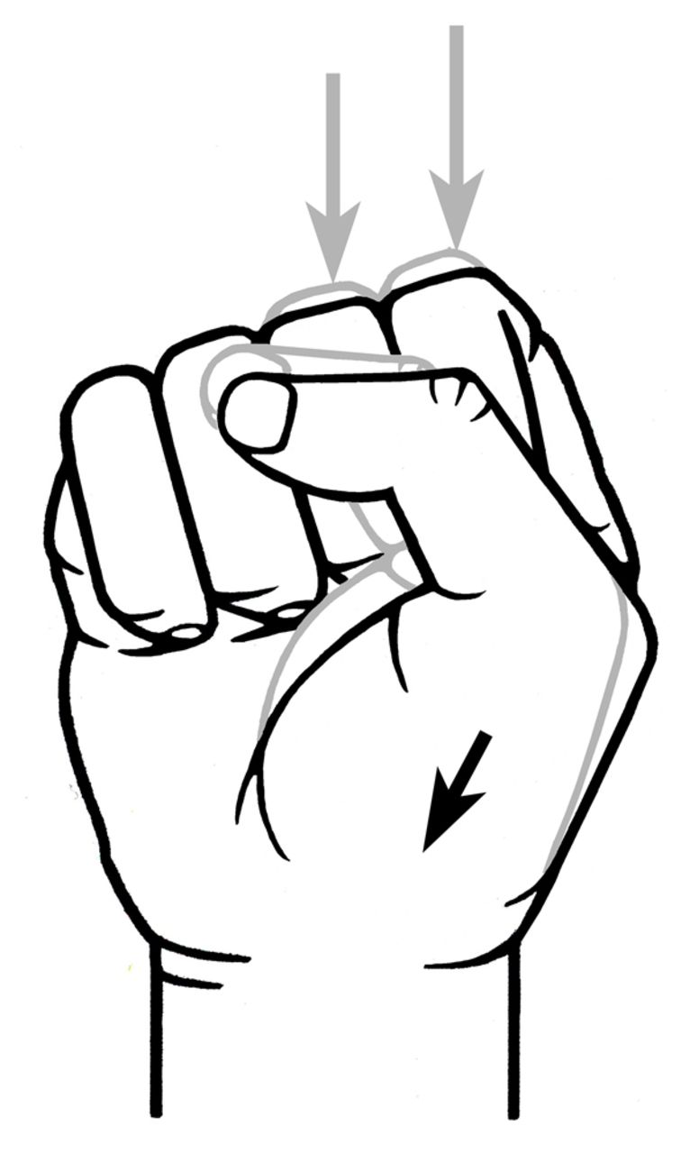 766x1280 Protective Buttressing The Human Fist And The Evolution