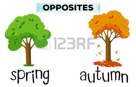 450x287 Opposite Words For Spring And Autumn Illustration Royalty Free