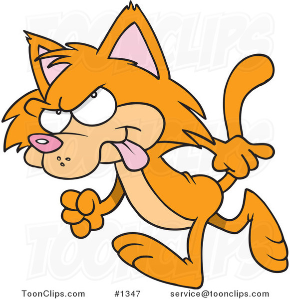 581x600 Orange Cartoon Cat