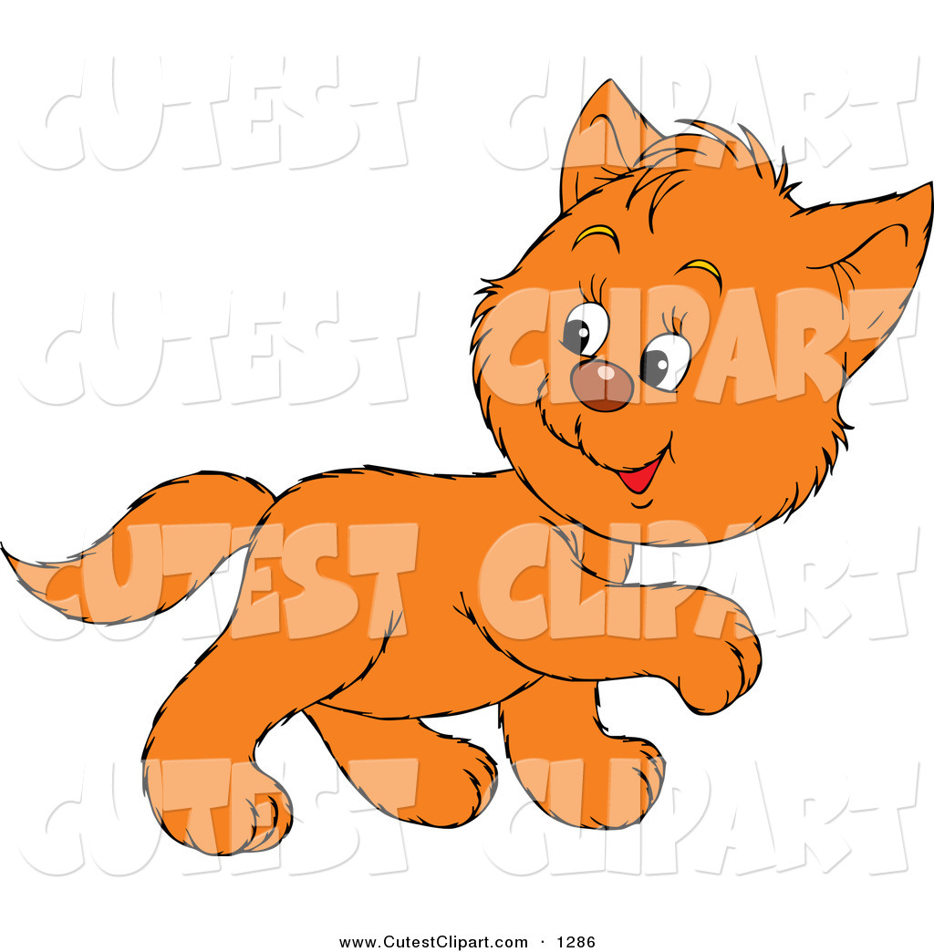 1024x1044 Vector Clip Art Of A Cute Orange Kitty Walking To The Right